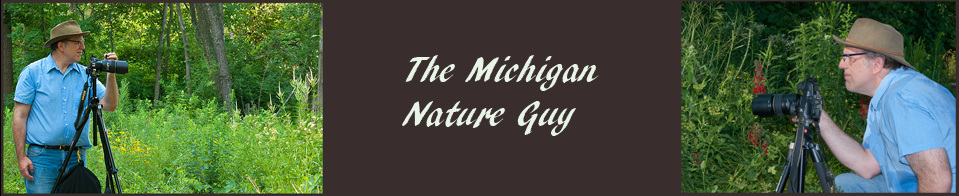 The Michigan Nature Guy’s Blog